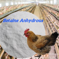 Meilleur prix bétaïne anhydre pour le poulet de bétail